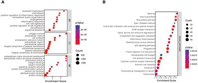 Identification of signature genes and immune infiltration analysis in thyroid cancer based on PANoptosis related genes